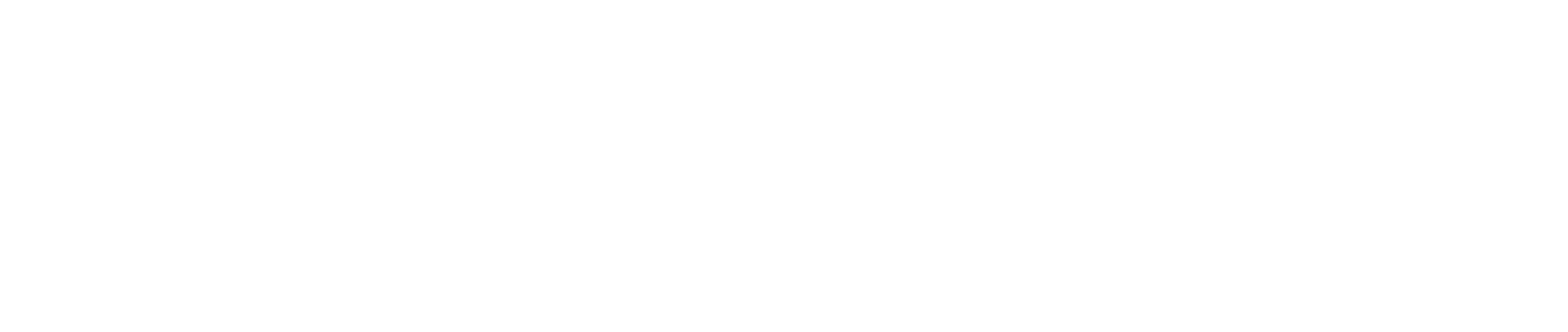 Z Digital